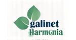 Logo Gabinet Harmonia